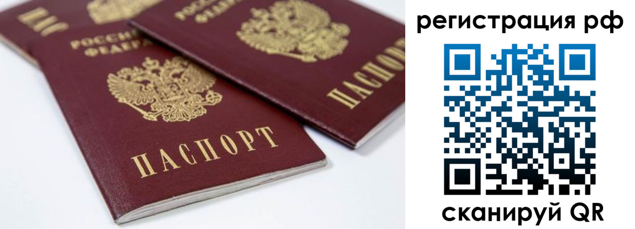 прописка регистрация в Звенигово